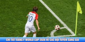Chi tiết bảng F World Cup 2026