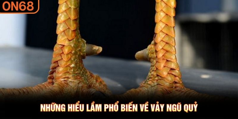Những hiểu lầm phổ biến về vảy Ngũ Quỷ