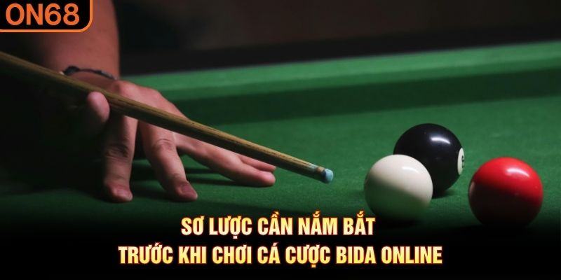 Sơ lược cần nắm bắt trước khi chơi cá cược bida online